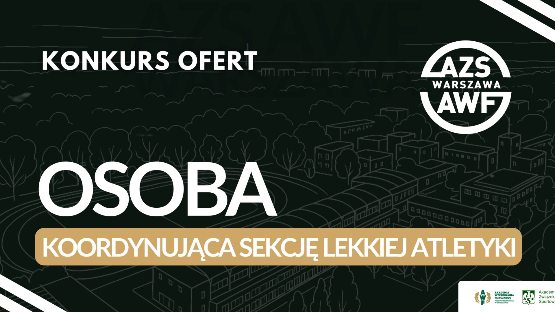 kordynator_la_azsawf